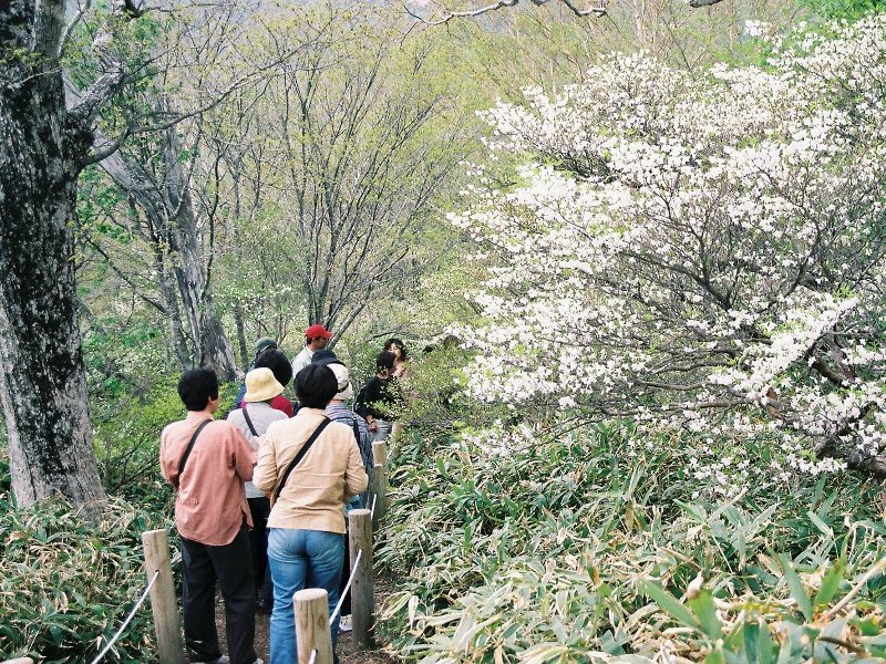 Nasu Onsen Hotel Harvest Nasu