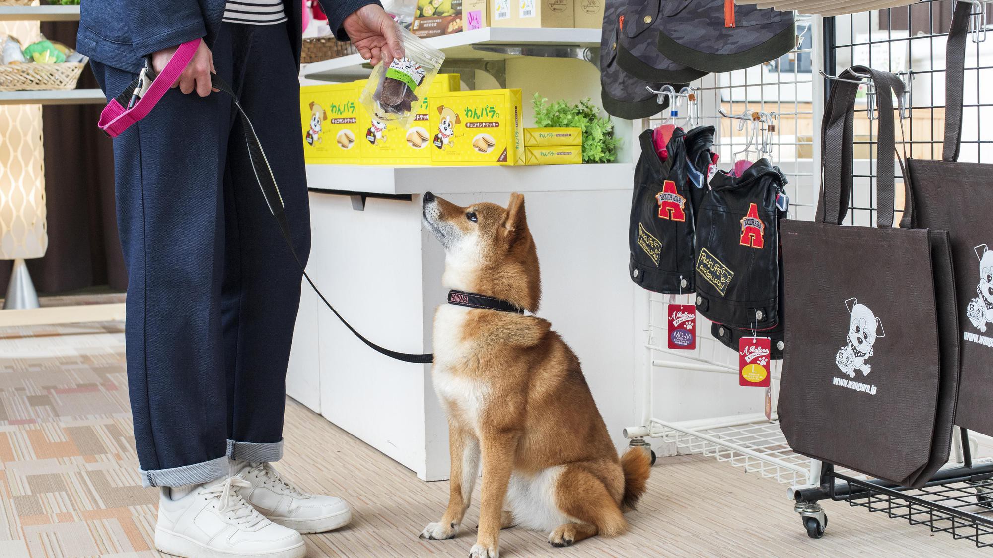 泉乡伊豆高原汪汪乐园 Izumigo Izukogen Dog Paradise Hotel Cottage 预订 22特价