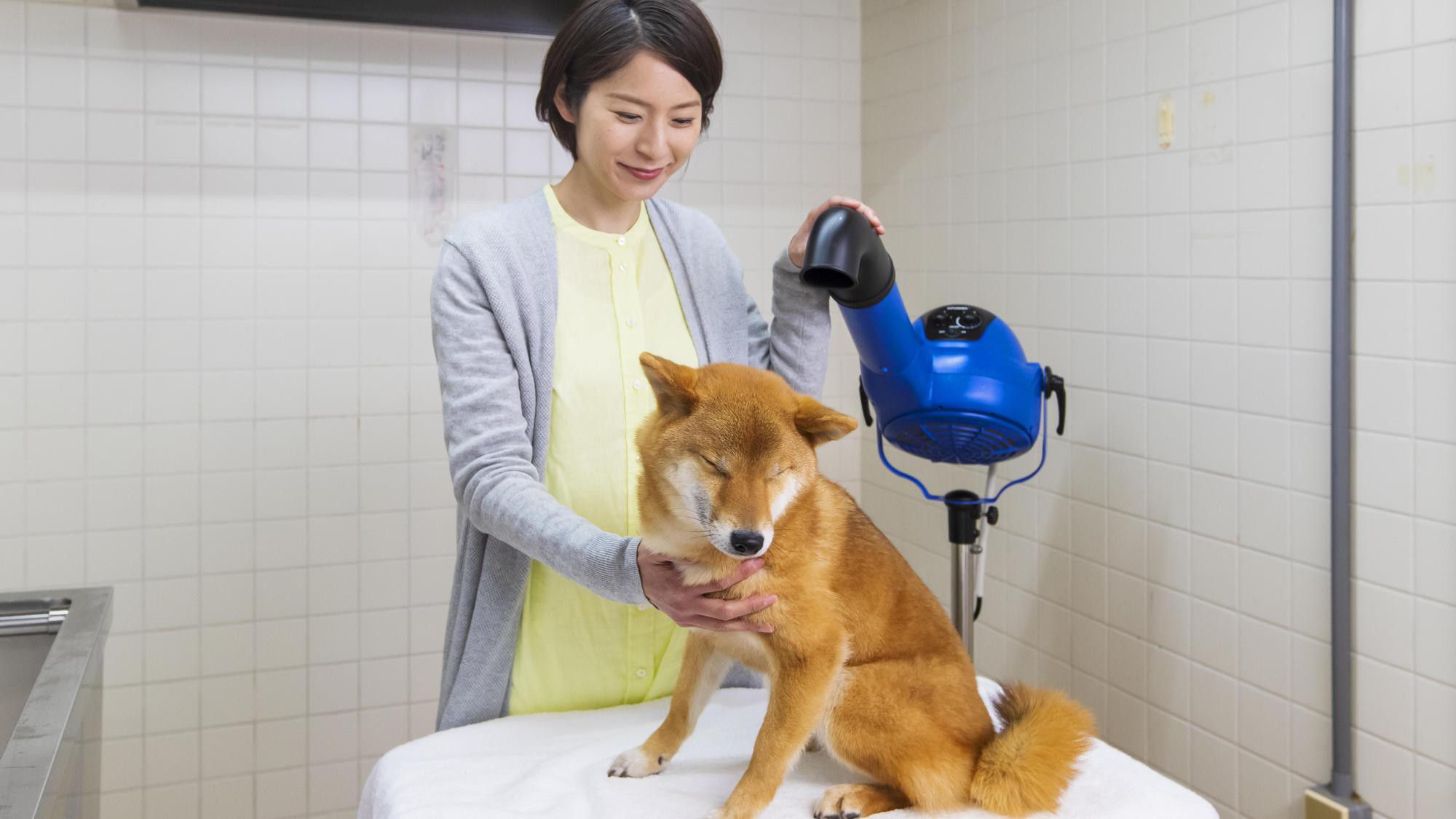 セルフグルーミングルームご利用イメージ：お客様で行っていただくセルフシャンプールームです。