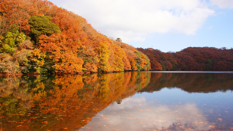 一碧湖の紅葉