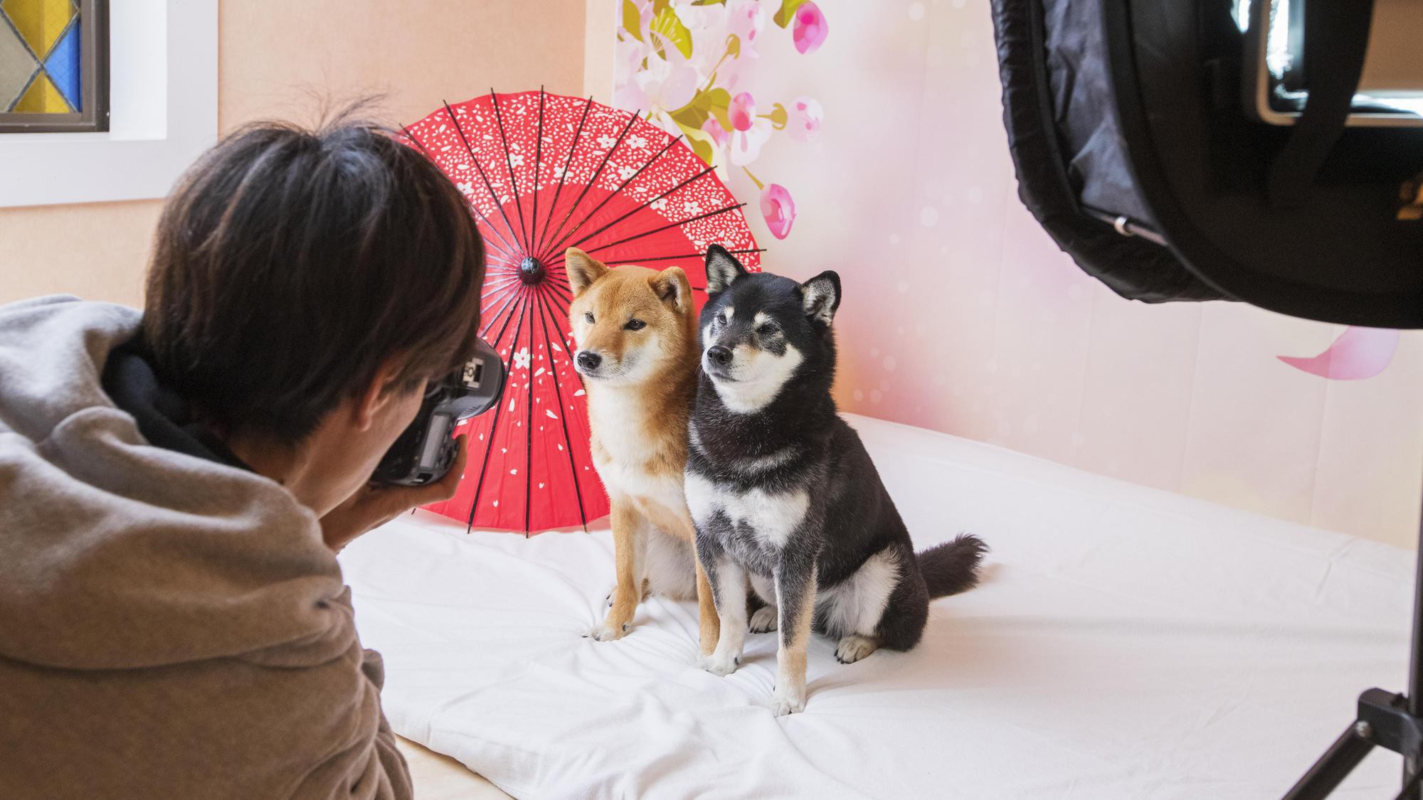 フォトスタジオ撮影イメージ：プロのカメラマンによる撮影で、形に残る旅の思い出に♪