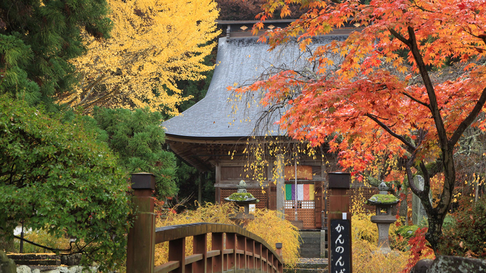 津金寺