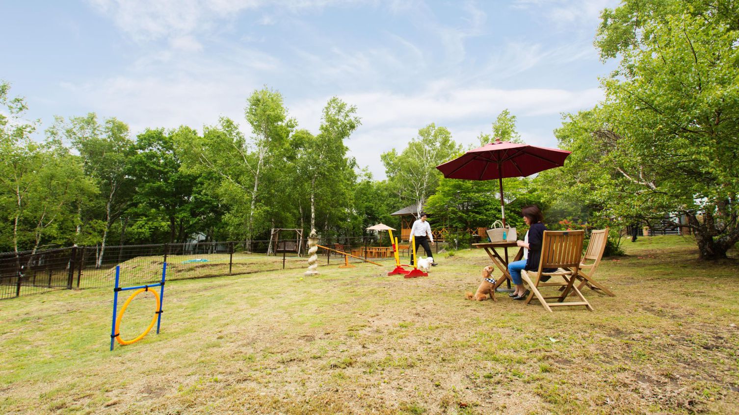 【dog park】利用イメージ