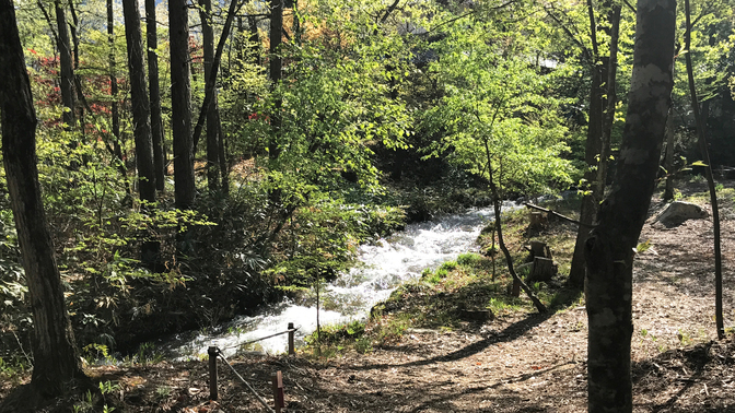 *裏の遊歩道。川のせせらぎを聞きながら、プチハイキングをお楽しみください。