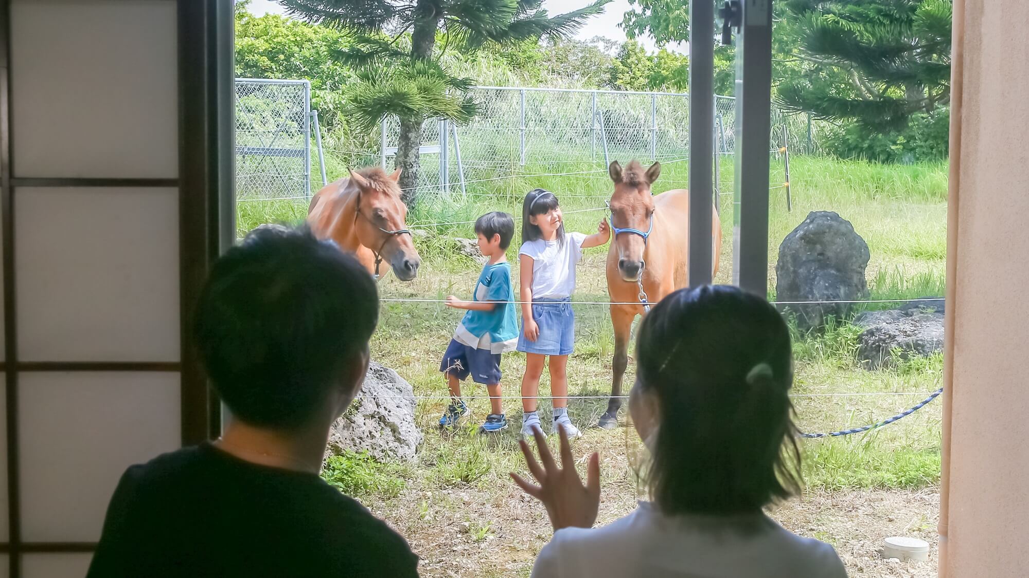 大人も子供も楽しめる！ヨナグニウマと暮らすように過ごす体験を