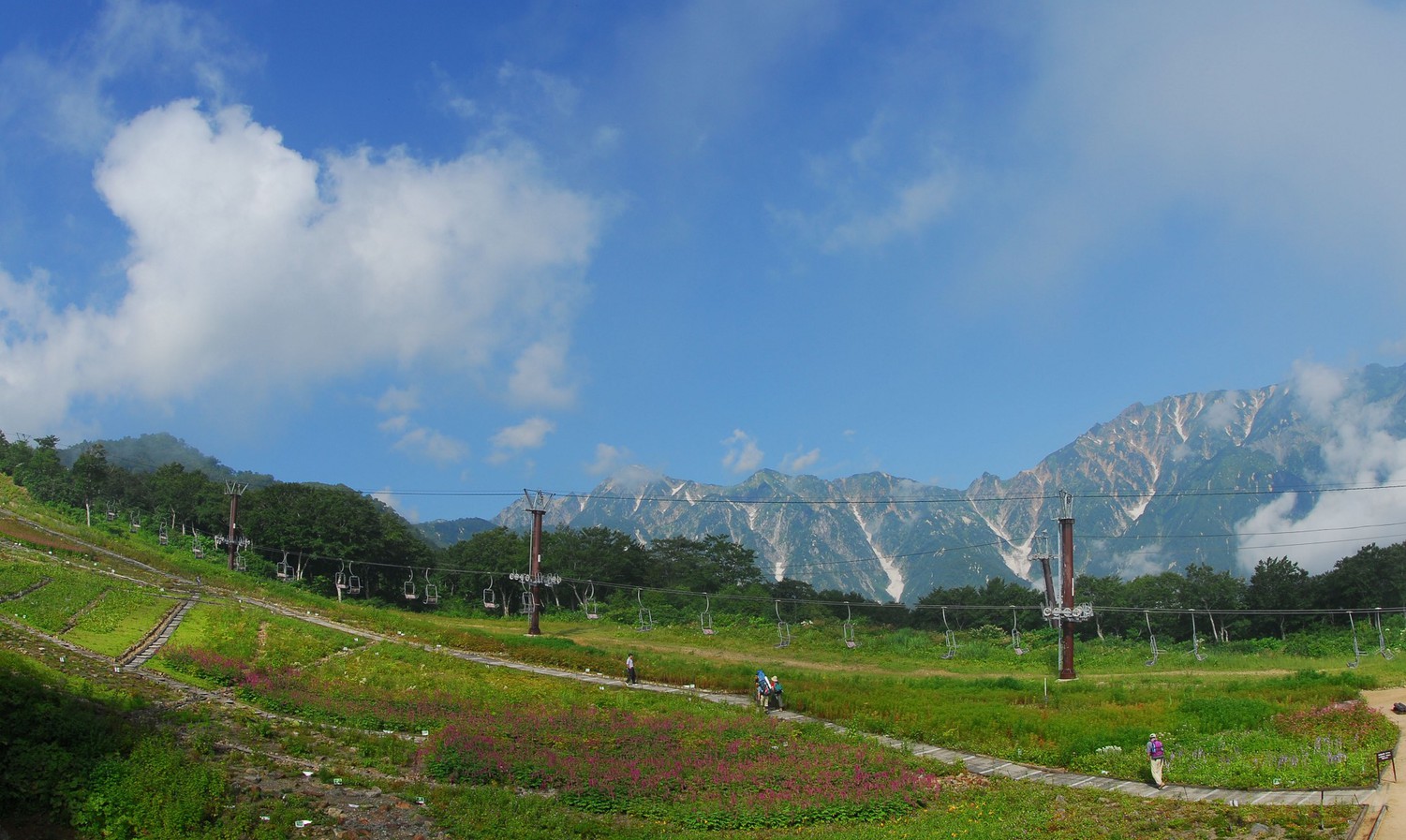 五竜高山植物園当館からお車で約20分の場所にございます