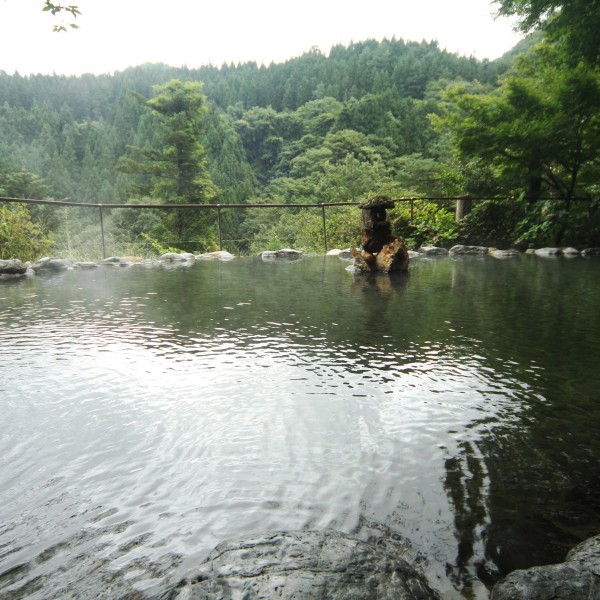 Sarugakyo Onsen Yumoto Choseikan Image 4, Minakami, Japan