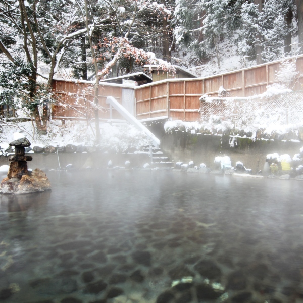 Sarugakyo Onsen Yumoto Choseikan Main Image Sarugakyo Onsen Yumoto Choseikan, Minakami