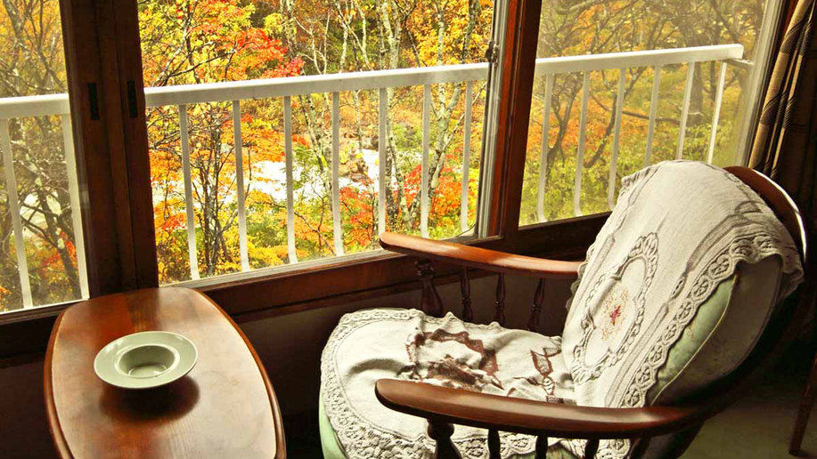 *本館和室（バス無・トイレ無）のお部屋からの景色。渓流のせせらぎと山の四季をお楽しみいただけます。