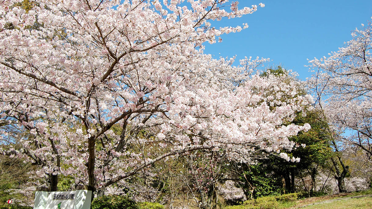 蛇ヶ谷公園