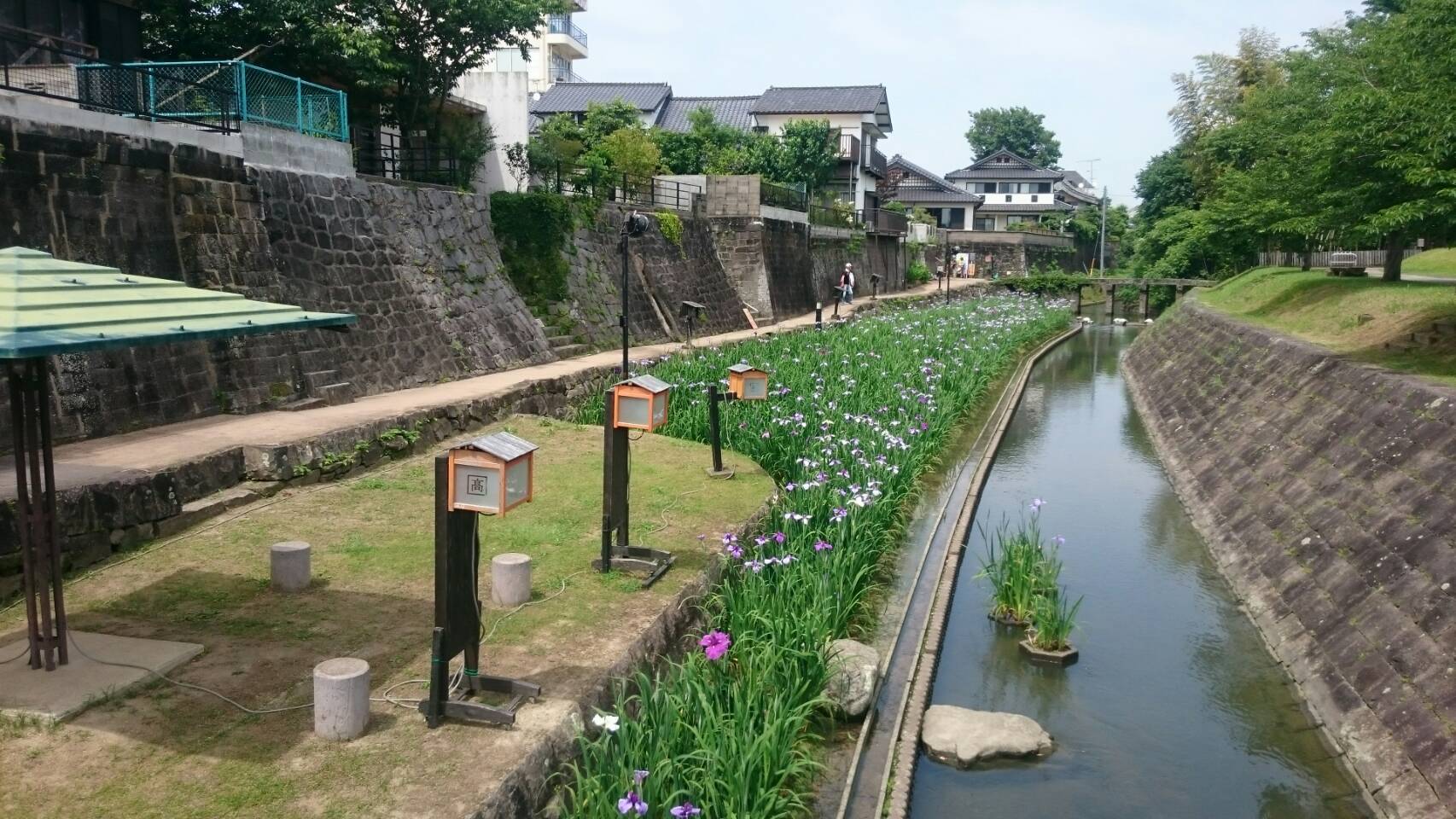 H30しょうぶの花