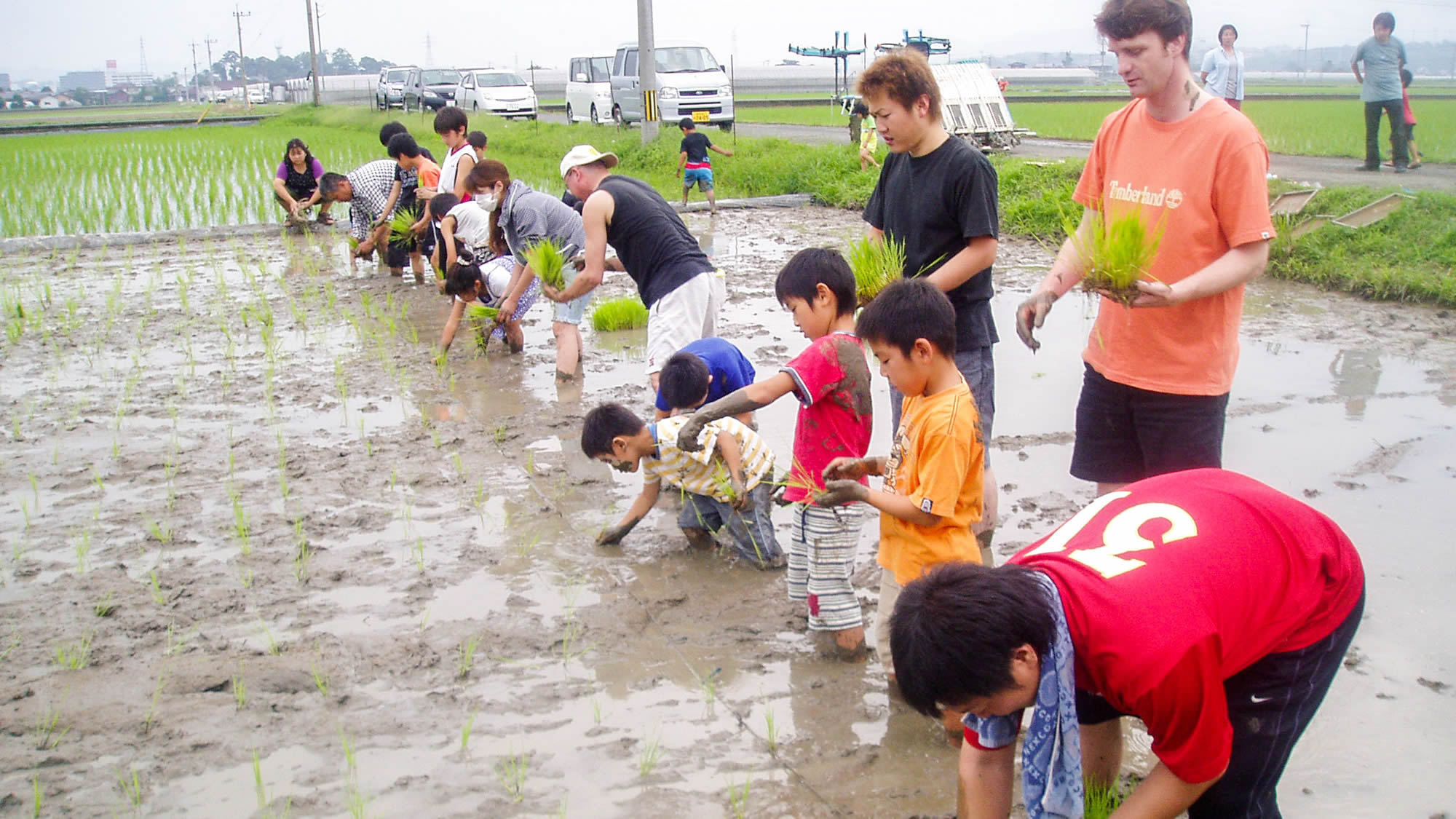 酒米「吟の里」田植え風景