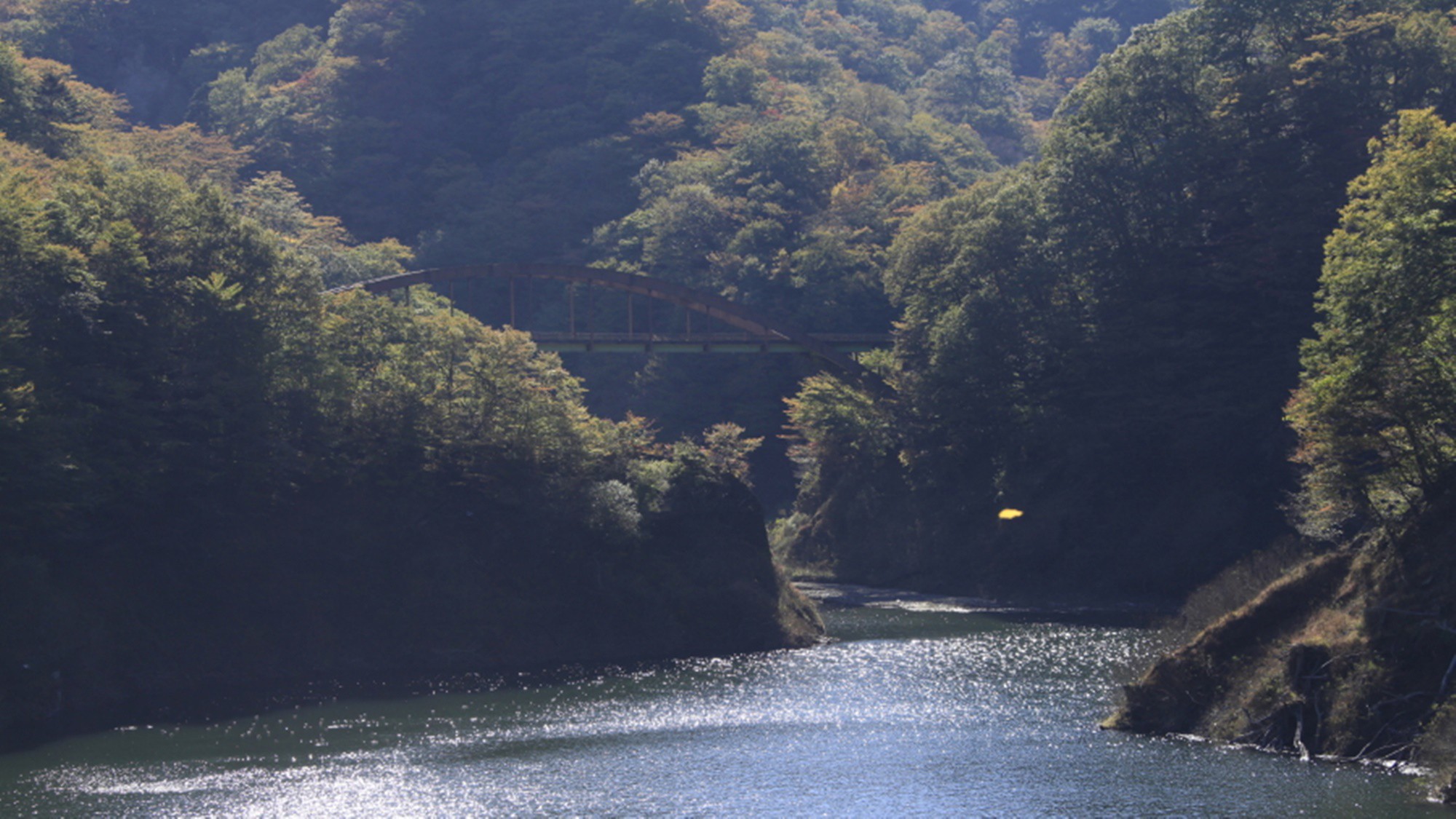【もみじ谷大吊橋】無補剛桁吊橋歩道としては日本最長です。