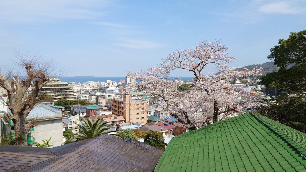 *【本館：高台のレトロ和室（10〜12畳+次の間）】風呂（温泉）・トイレ付客室一例／眺望（桜）