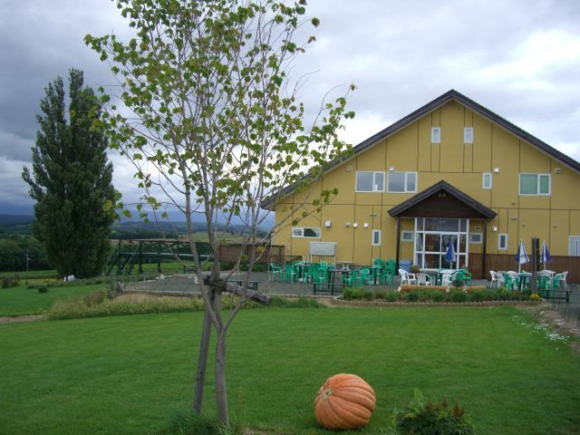 芝生の上で星空観察