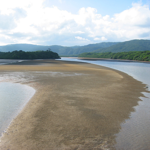 仲間川からの風景