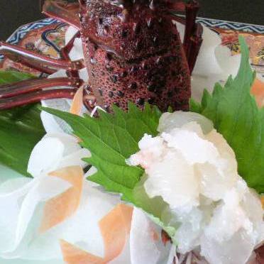 伊勢海老造りアップ