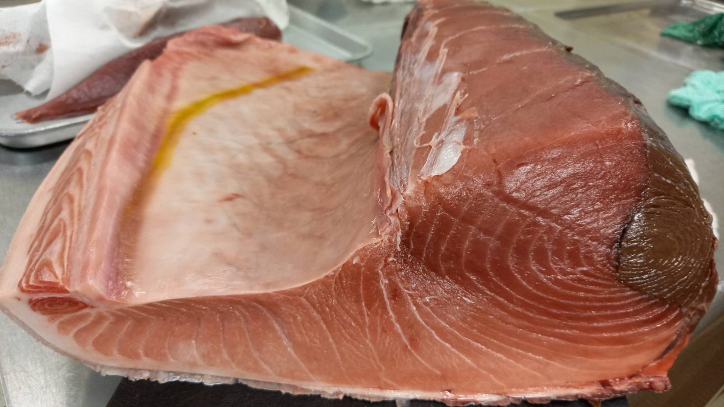 舟盛り用マグロ当館では一本買いしたマグロを主人が捌いています♪