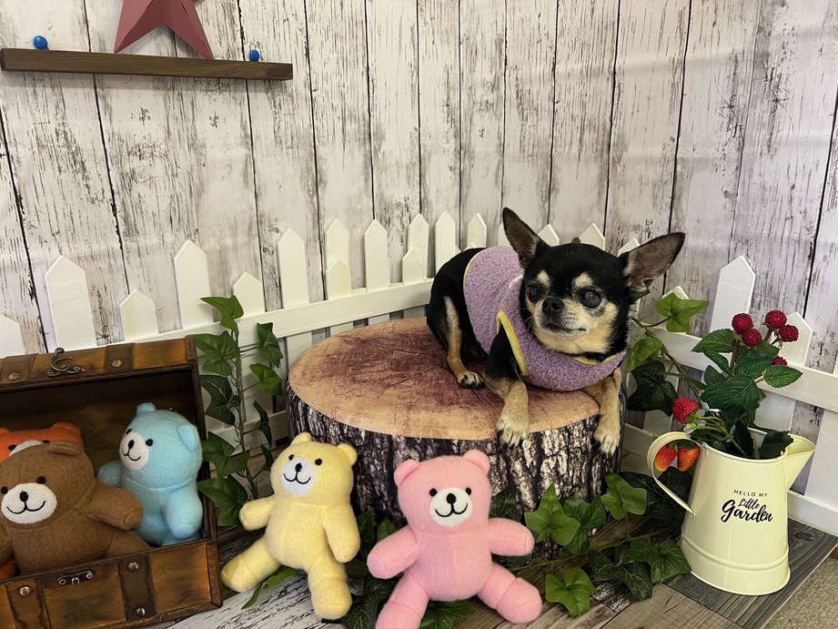 フォトブースモデルさんに挑戦！