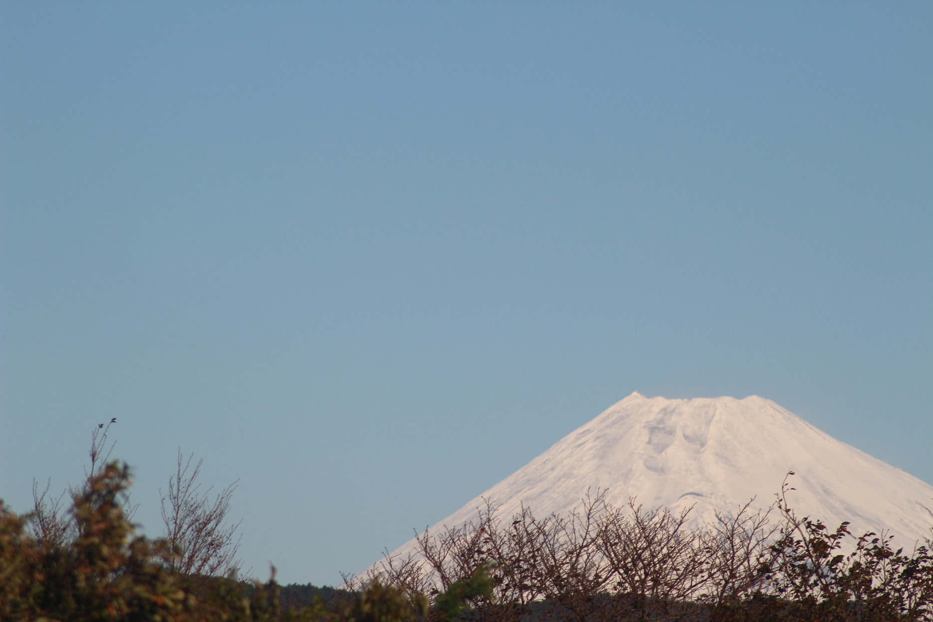 晴れた日には宿の正面に富士山が見えます