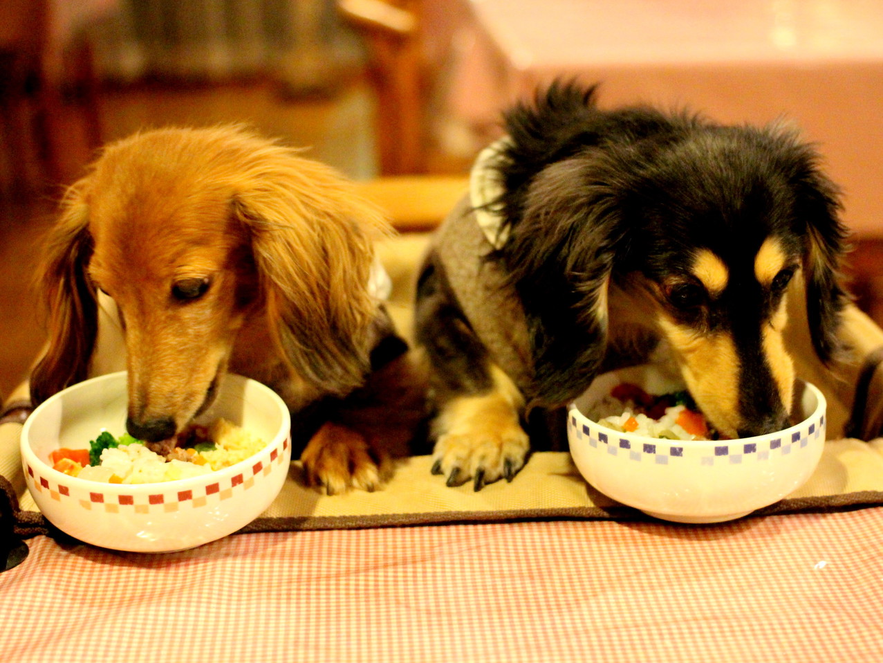 仲良く並んでごはんに夢中♪