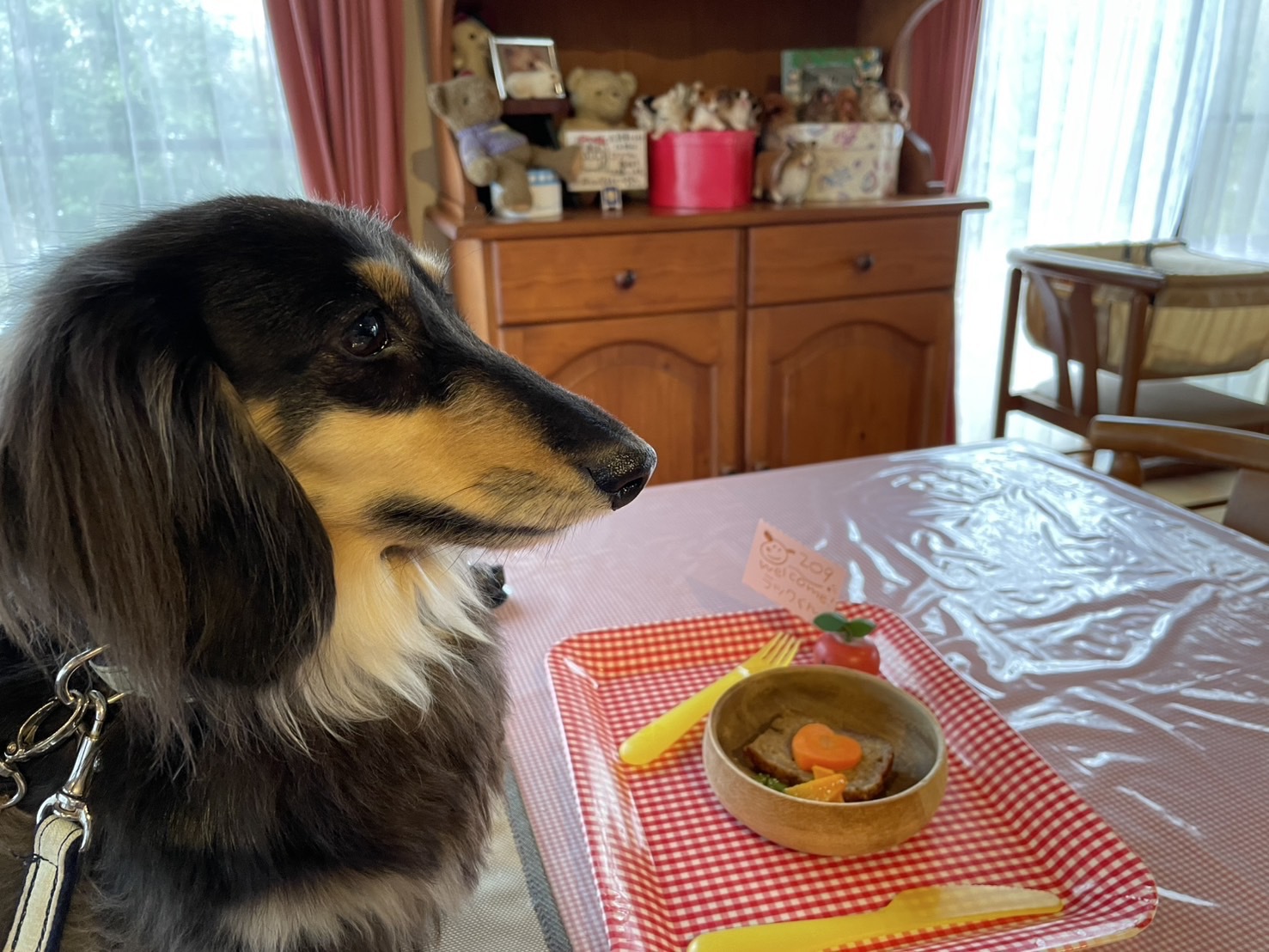 ごはんうれしいな♪