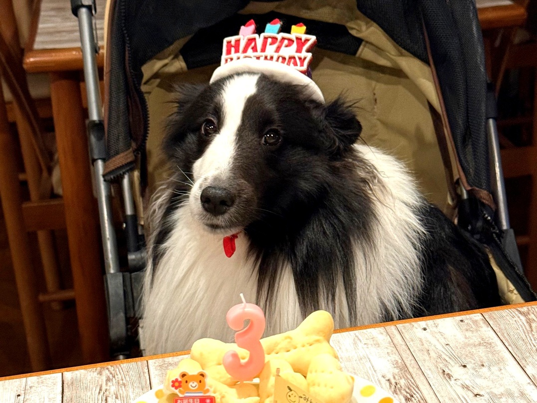 被り物もご用意しています♪