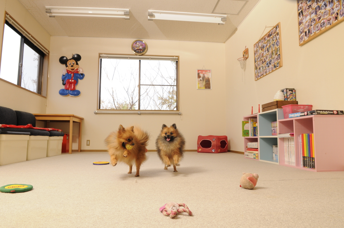 お天気に関係なく遊べる室内プレイルーム