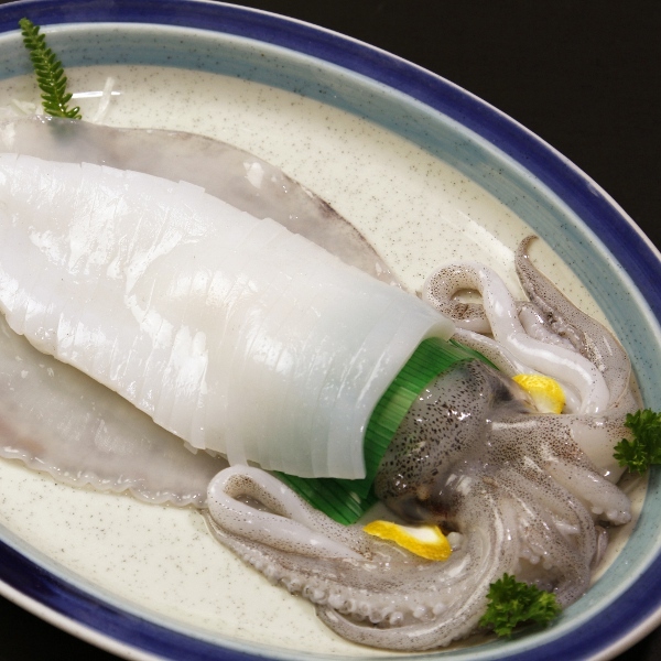 あおりイカの姿造り