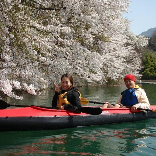 お花見カヌー