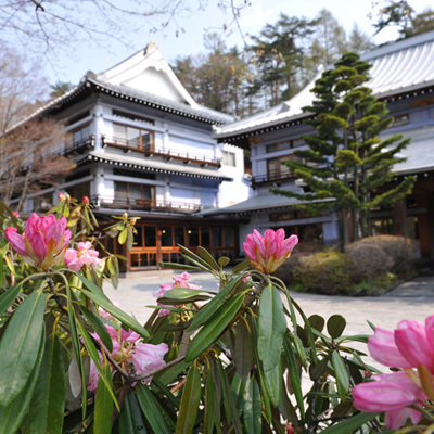 石楠花が咲くエントランス