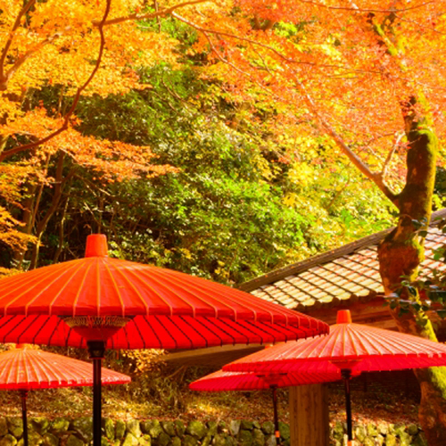 瑞宝寺公園紅葉