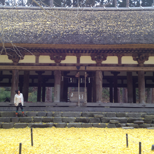 新宮熊野神社長床（喜多方市）国の重要文化財に指定されており、樹齢600年の大イチョウの見ごたえは圧巻