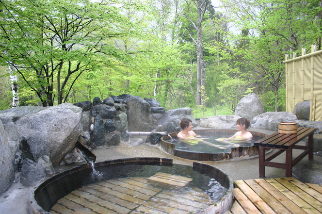 春の木漏れ日の湯