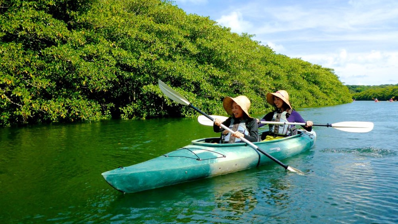 *広大なマングローブの川をカヌーで。安定感のある2人乗りカヌーです。