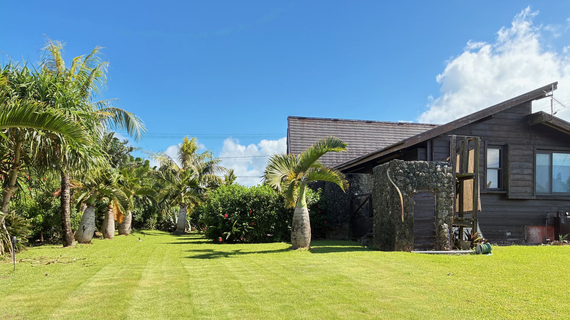*【庭】手入れの行き届いた芝とヤシの木が織りなす南国リゾートの庭