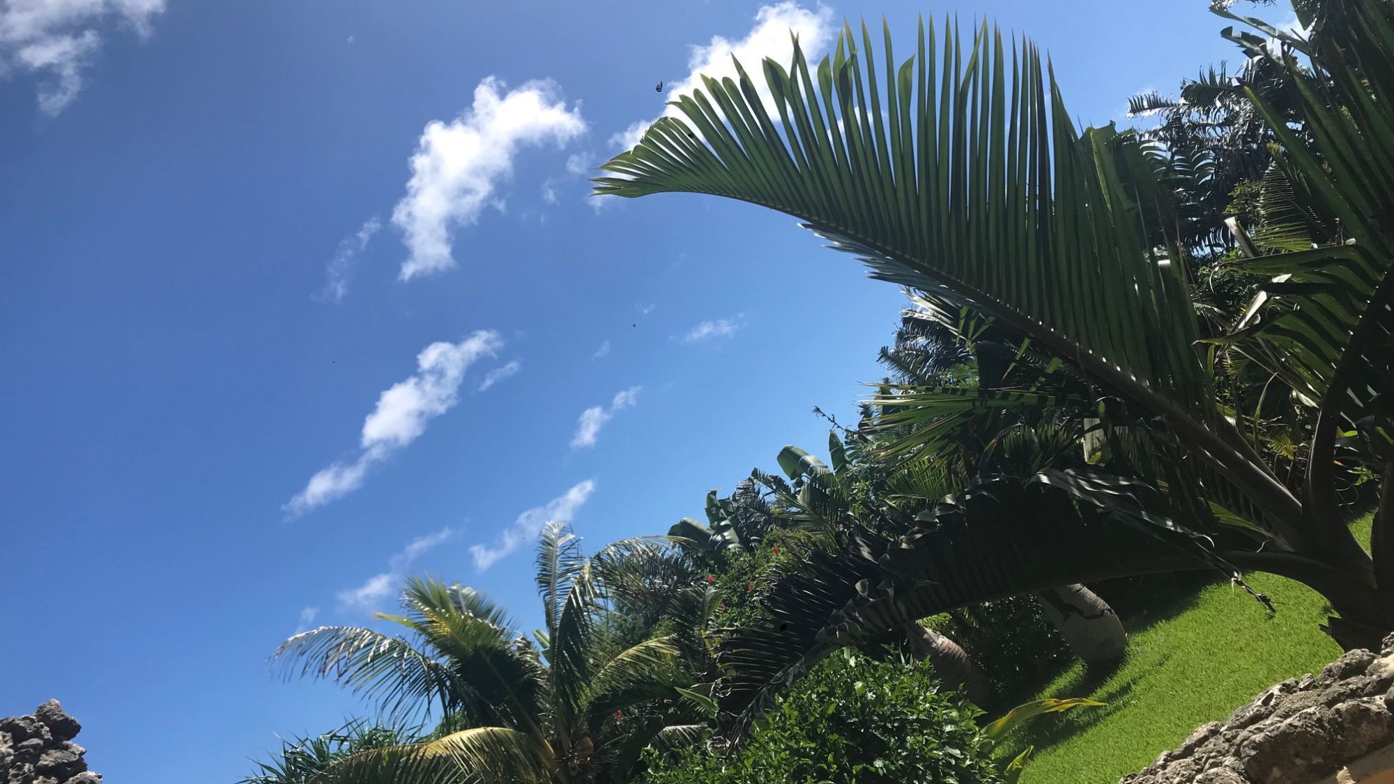 *【展望ジャグジーから見える空】青空を独り占めする贅沢、至福のジャグジータイムを