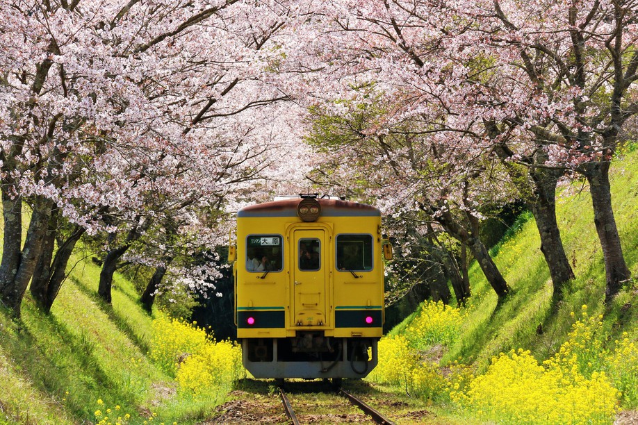 春のいすみ鉄道