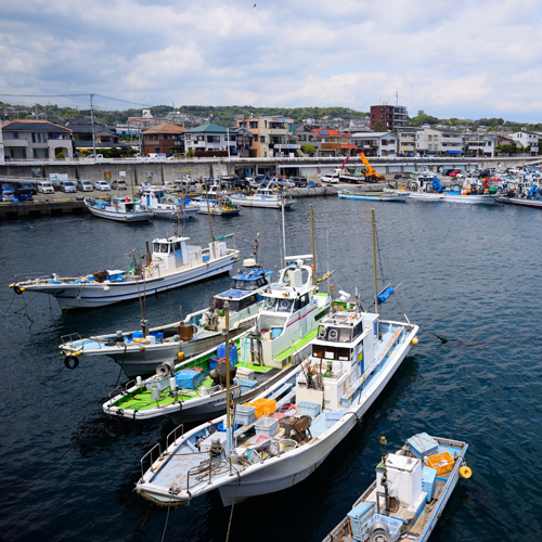 This photo about Tainaya shared on HyHotel.com