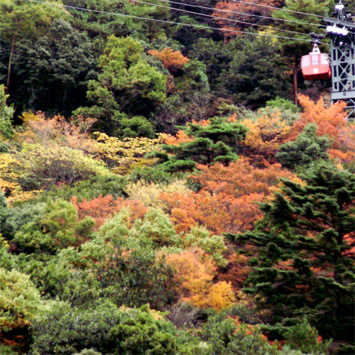 秋の御在所岳