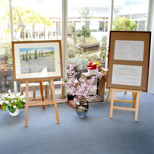 土佐西花园鸟巢酒店