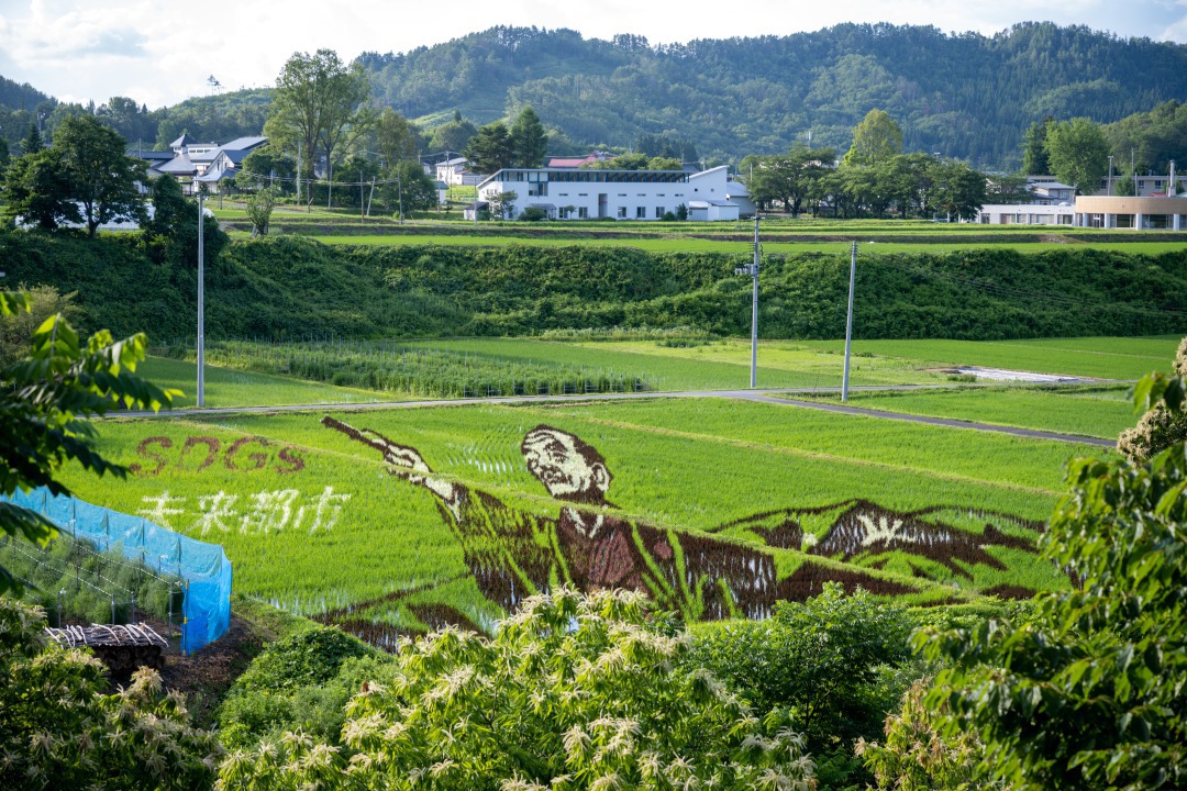 毎年絵柄が変わる「田んぼアート」