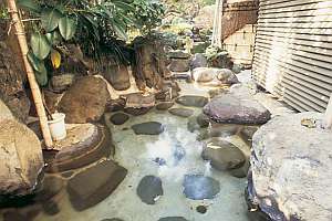 Ito Onsen Suihoen Ito Onsen Suihoen is conveniently located in the popular Ito area. Featuring a satisfying list of amenities, guests will find their stay at the property a comfortable one. Take advantage of the proper