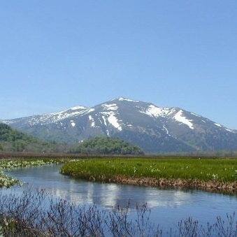 【春＊風景】水芭蕉と至仏山