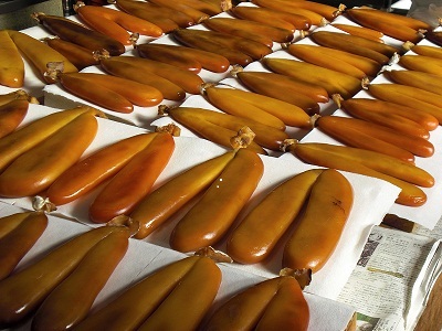 自家製からすみ〜１０月に捕ったボラの卵からできたからすみ〜