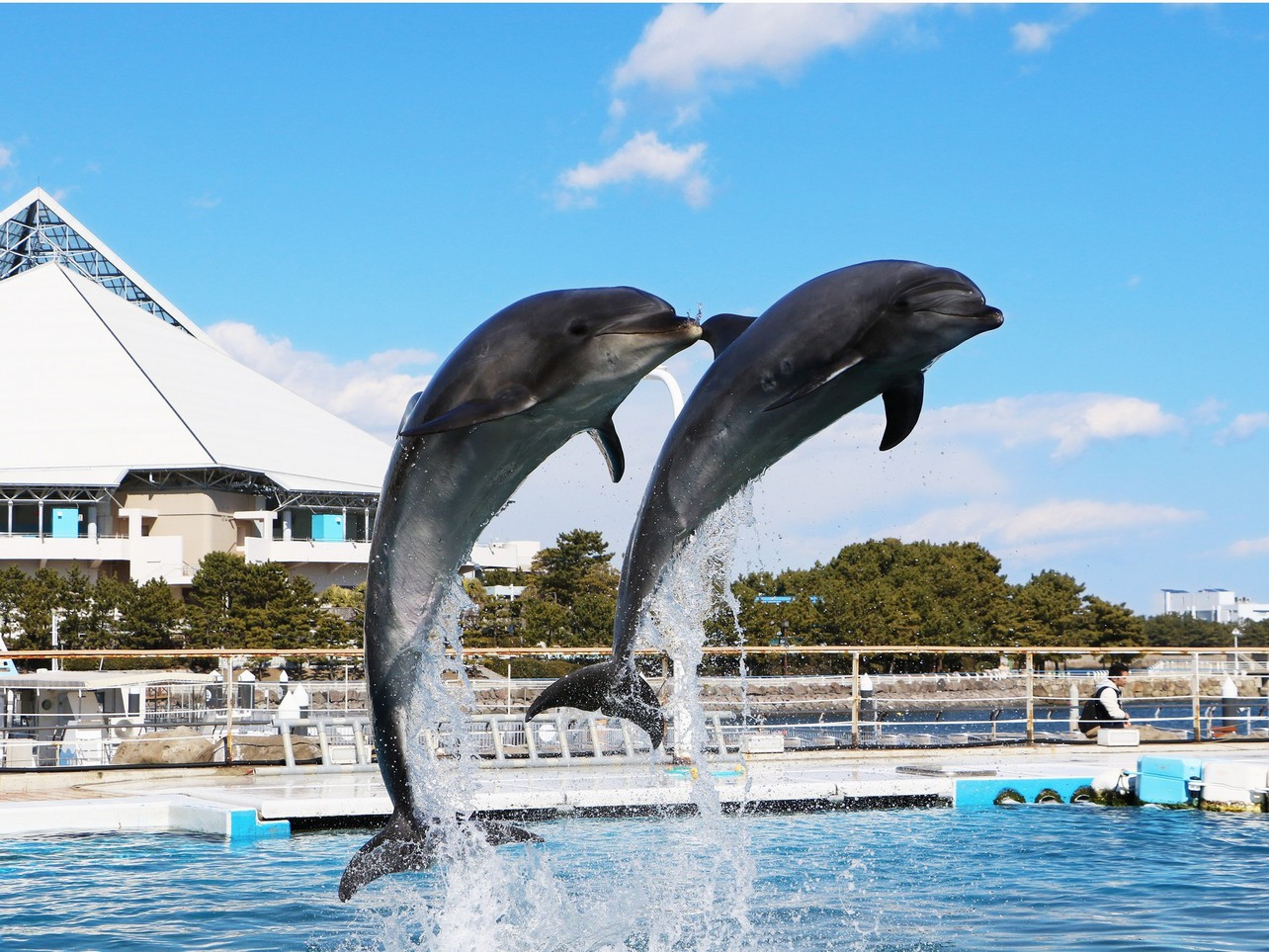 横浜 ストア テクノ タワー ホテル パジャマ