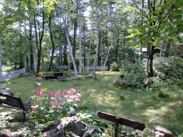 涼しげな夏の庭