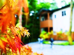 秋外観