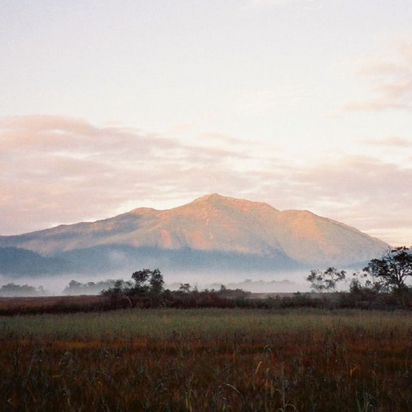 秋の尾瀬の風景