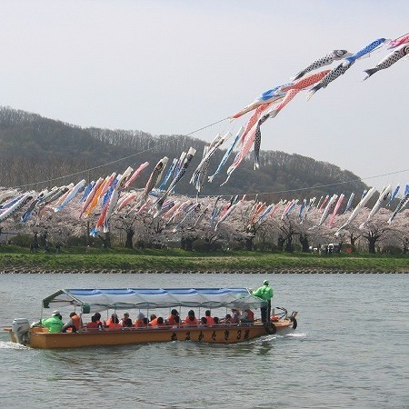 北上展勝地さくらまつり期間中(4月中旬〜4月下旬頃)は北上川から桜を眺める「観光遊覧船」も運行！
